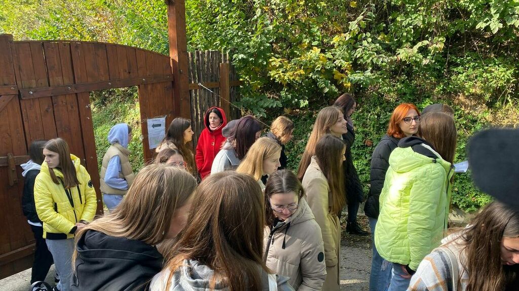 photo_2023-11-19_23-24-47